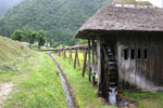 OȉƏWiڊj